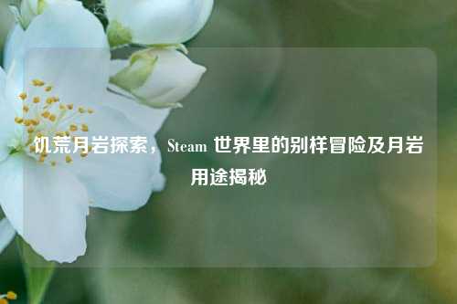 饥荒月岩探索，Steam 世界里的别样冒险及月岩用途揭秘