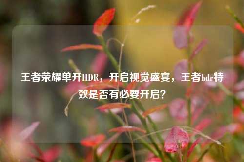 王者荣耀单开HDR，开启视觉盛宴，王者hdr特效是否有必要开启？