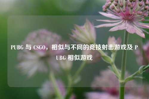 PUBG 与 CSGO，相似与不同的竞技射击游戏及 PUBG 相似游戏