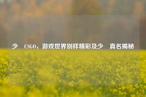 少囧CSGO，游戏世界别样精彩及少囧真名揭秘