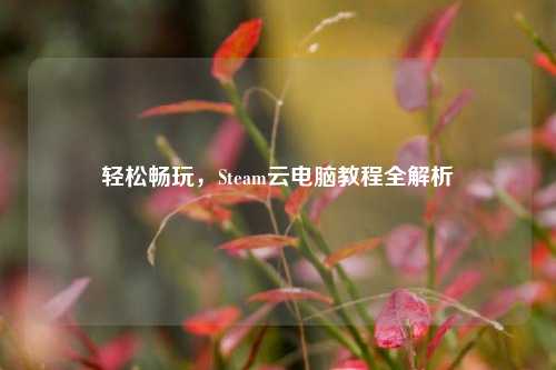 轻松畅玩，Steam云电脑教程全解析