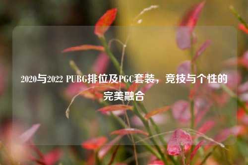 2020与2022 PUBG排位及PGC套装，竞技与个性的完美融合
