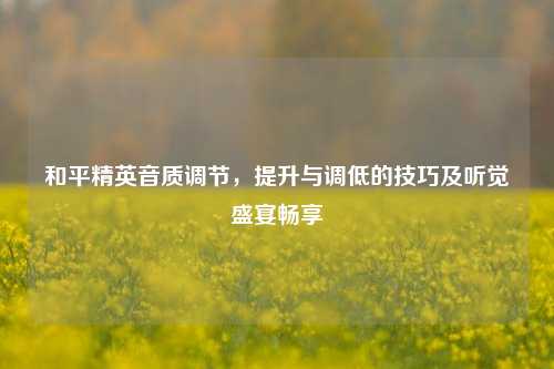 和平精英音质调节，提升与调低的技巧及听觉盛宴畅享
