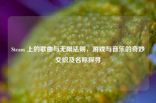Steam 上的歌曲与无限法则，游戏与音乐的奇妙交织及名称探寻