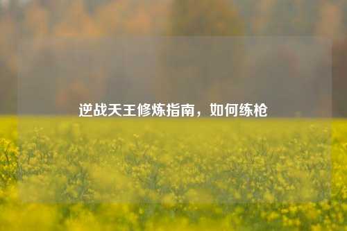 逆战天王修炼指南，如何练枪