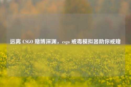 远离 CSGO 赌博深渊，csgo 戒毒模拟器助你戒赌