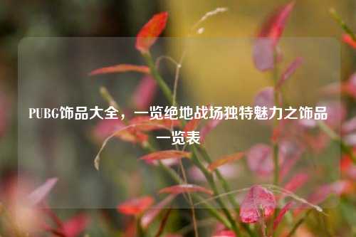 PUBG饰品大全，一览绝地战场独特魅力之饰品一览表