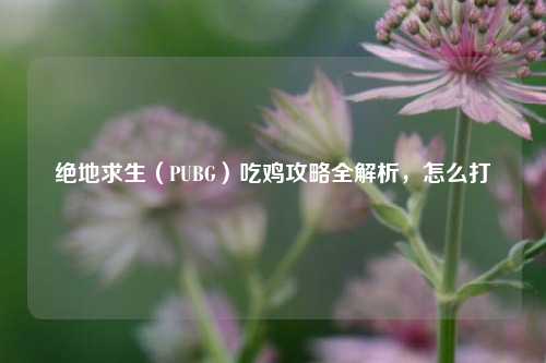绝地求生（PUBG）吃鸡攻略全解析，怎么打
