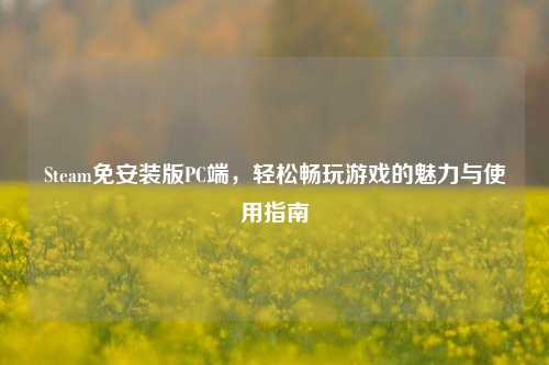 Steam免安装版PC端，轻松畅玩游戏的魅力与使用指南
