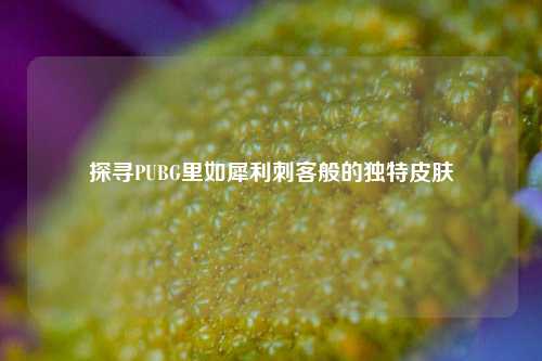 探寻PUBG里如犀利刺客般的独特皮肤