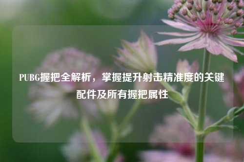 PUBG握把全解析，掌握提升射击精准度的关键配件及所有握把属性