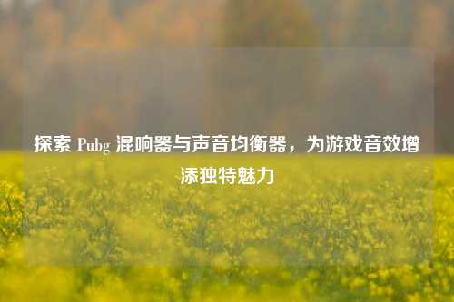探索 Pubg 混响器与声音均衡器，为游戏音效增添独特魅力