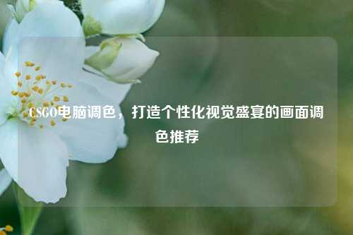 CSGO电脑调色，打造个性化视觉盛宴的画面调色推荐