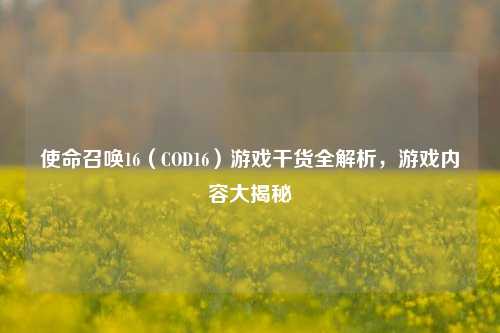 使命召唤16（COD16）游戏干货全解析，游戏内容大揭秘