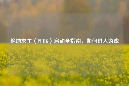 绝地求生（PUBG）启动全指南，如何进入游戏