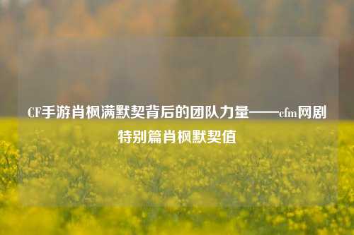 CF手游肖枫满默契背后的团队力量——cfm网剧特别篇肖枫默契值
