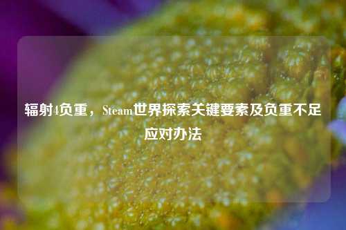 辐射4负重，Steam世界探索关键要素及负重不足应对办法