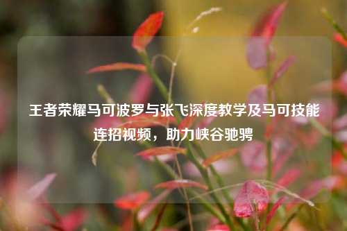 王者荣耀马可波罗与张飞深度教学及马可技能连招视频，助力峡谷驰骋