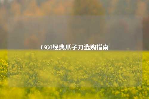 CSGO经典爪子刀选购指南