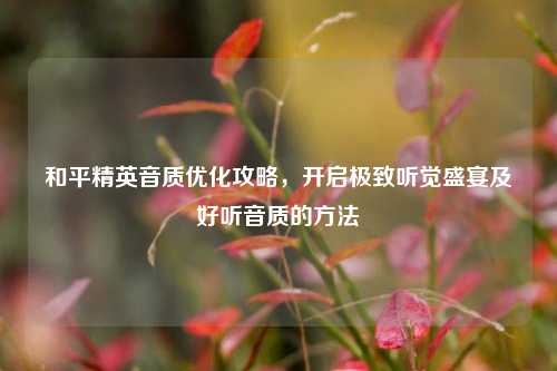 和平精英音质优化攻略，开启极致听觉盛宴及好听音质的方法