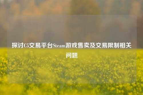 探讨C5交易平台Steam游戏售卖及交易限制相关问题