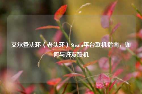 艾尔登法环（老头环）Steam平台联机指南，如何与好友联机