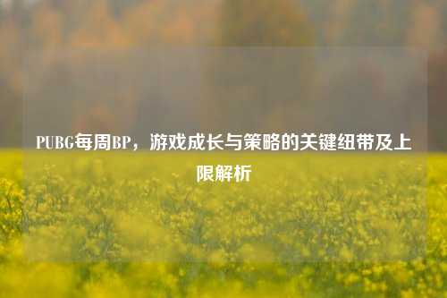 PUBG每周BP，游戏成长与策略的关键纽带及上限解析