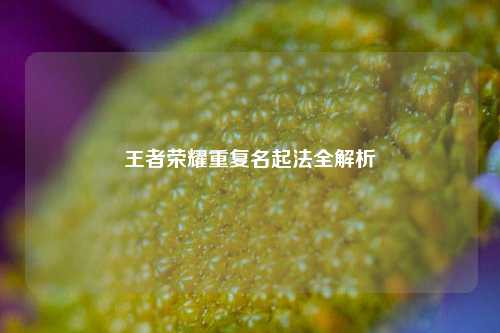 王者荣耀重复名起法全解析