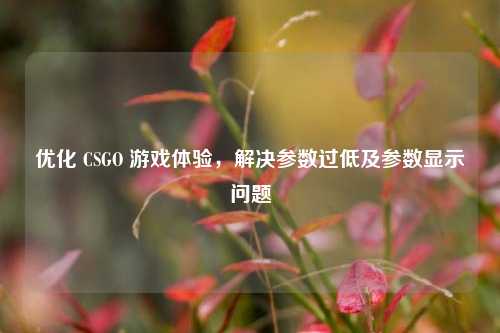 优化 CSGO 游戏体验，解决参数过低及参数显示问题