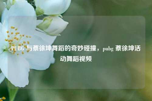 PUBG 与蔡徐坤舞蹈的奇妙碰撞，pubg 蔡徐坤活动舞蹈视频