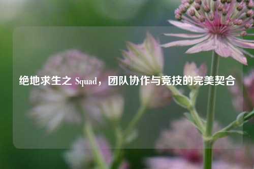 绝地求生之 Squad，团队协作与竞技的完美契合