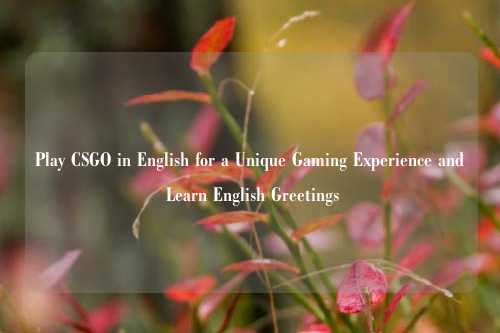 Play CSGO in English for a Unique Gaming Experience and Learn English Greetings