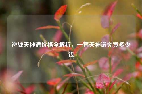 逆战天神谱价格全解析，一套天神谱究竟多少钱