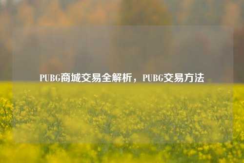 PUBG商城交易全解析，PUBG交易方法