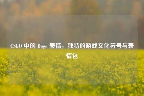 CSGO 中的 Doge 表情，独特的游戏文化符号与表情包