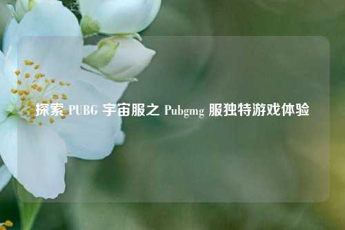 探索 PUBG 宇宙服之 Pubgmg 服独特游戏体验