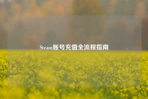 Steam账号充值全流程指南