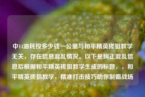 中14油耗投多少钱一公里与和平精英搓狙教学无关，存在信息混乱情况。以下是纠正混乱信息后根据和平精英搓狙教学生成的标题，，和平精英搓狙教学，精准打击技巧助你制霸战场