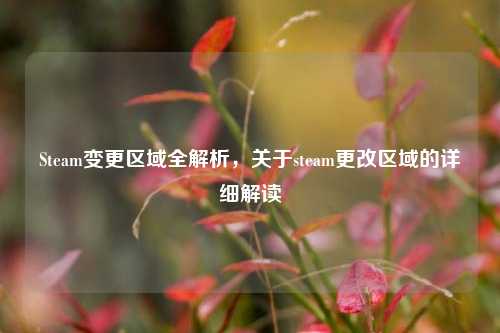 Steam变更区域全解析，关于steam更改区域的详细解读