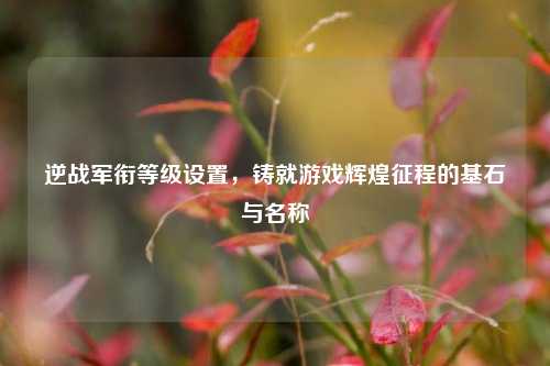 逆战军衔等级设置，铸就游戏辉煌征程的基石与名称
