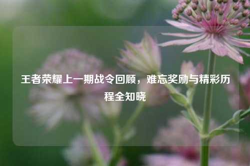 王者荣耀上一期战令回顾，难忘奖励与精彩历程全知晓