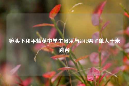 镜头下和平精英中学生风采与2012男子单人十米跳台