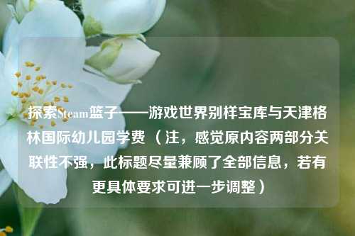 探索Steam篮子——游戏世界别样宝库与天津格林国际幼儿园学费 （注，感觉原内容两部分关联性不强，此标题尽量兼顾了全部信息，若有更具体要求可进一步调整）