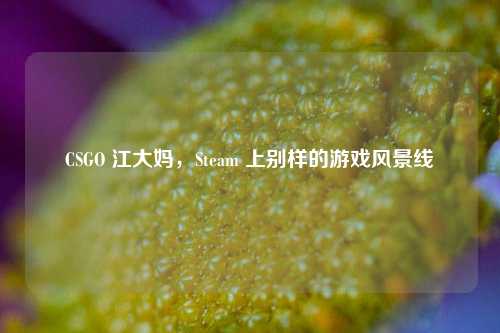 CSGO 江大妈，Steam 上别样的游戏风景线