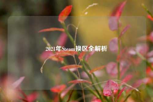 2021年Steam换区全解析