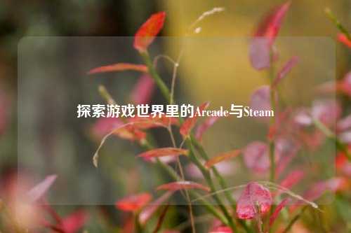 探索游戏世界里的Arcade与Steam