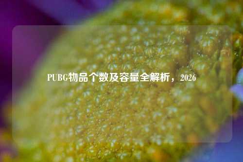 PUBG物品个数及容量全解析，2026