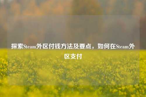 探索Steam外区付钱方法及要点，如何在Steam外区支付