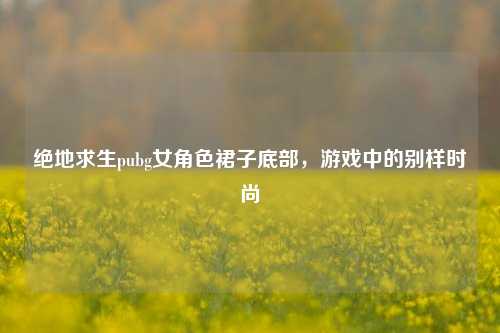 绝地求生pubg女角色裙子底部，游戏中的别样时尚