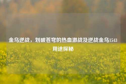 金乌逆战，划破苍穹的热血激战及逆战金乌1543用途探秘